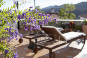 A terrace in Competa with flowers blooming